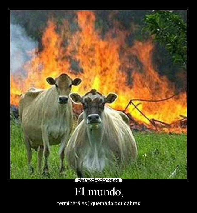 El mundo, - terminará así, quemado por cabras