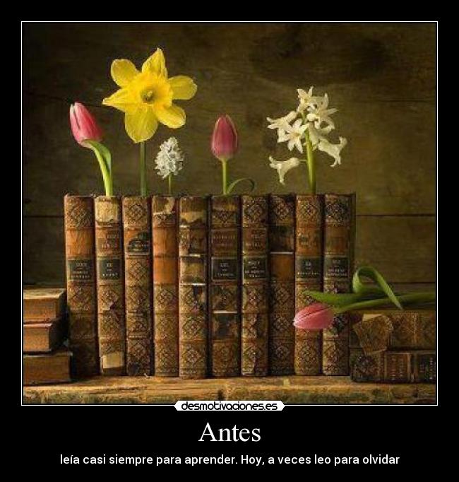 Antes - 