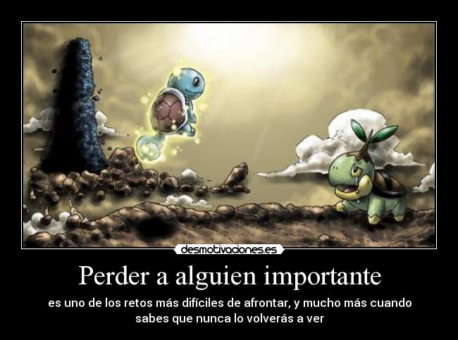 carteles pokemon mundo misterioso exploradores reto dificil afrontar despedirse squirtle turtwig desaparece desmotivaciones