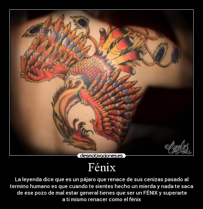 Fénix - La leyenda dice que es un pájaro que renace de sus cenizas pasado al
termino humano es que cuando te sientes hecho un mierda y nada te saca
de ese pozo de mal estar general tienes que ser un FÉNIX y superarte
a ti mismo renacer como el fénix