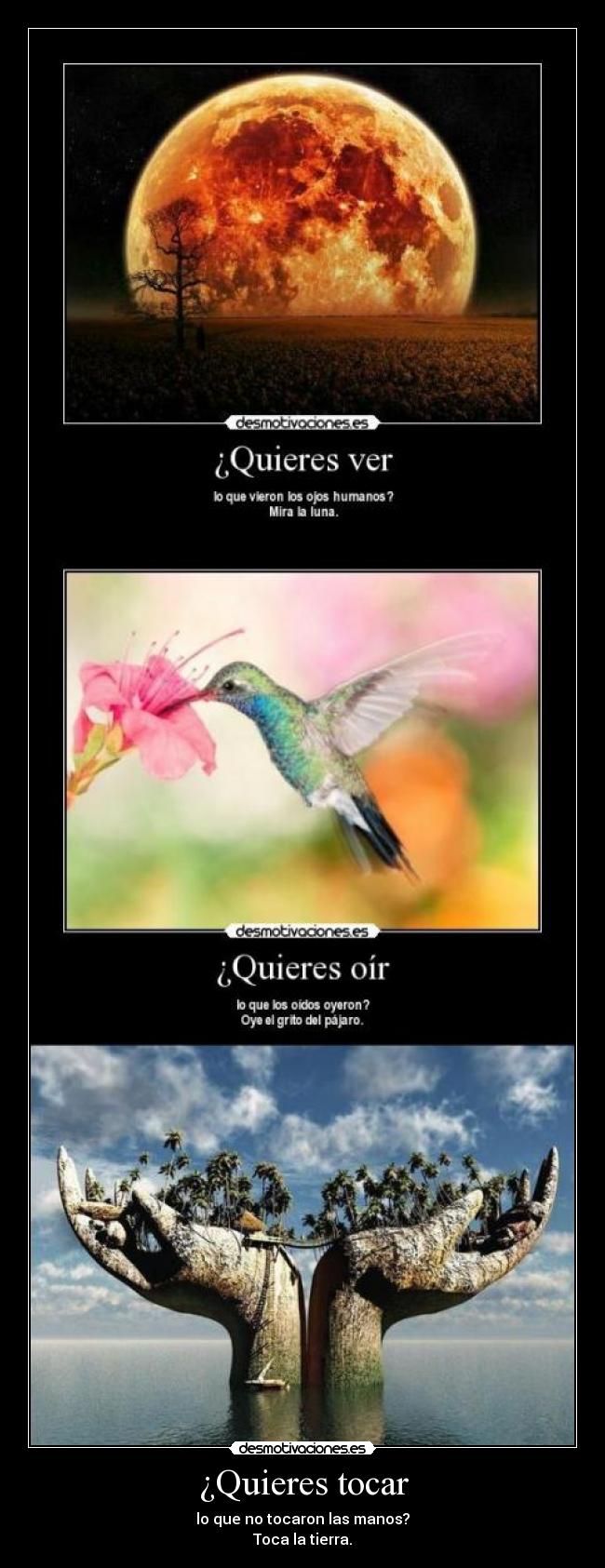 ¿Quieres tocar - lo que no tocaron las manos?
Toca la tierra.