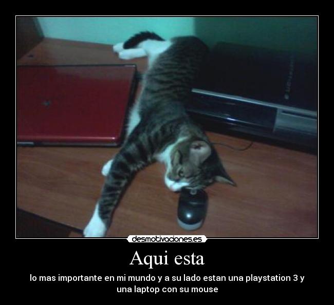 Aqui esta - lo mas importante en mi mundo y a su lado estan una playstation 3 y
una laptop con su mouse