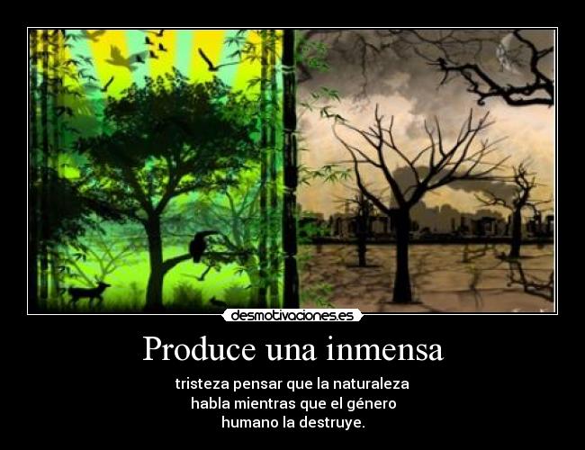 carteles naturalez desmotivaciones
