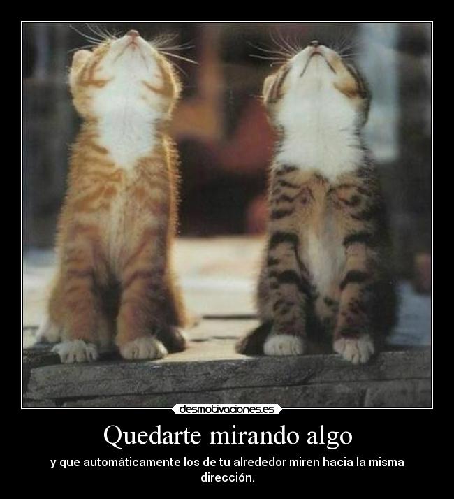carteles quedarte mirando algo que automaticamente los alrededor miren hacia misma direccion desmotivaciones
