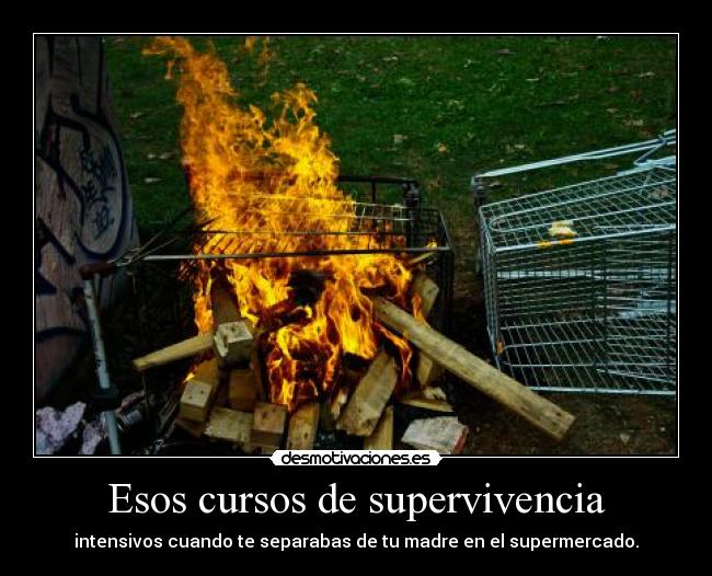 Esos cursos de supervivencia -