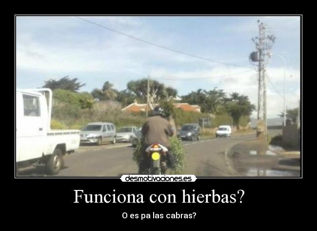 carteles humor desmotivaciones