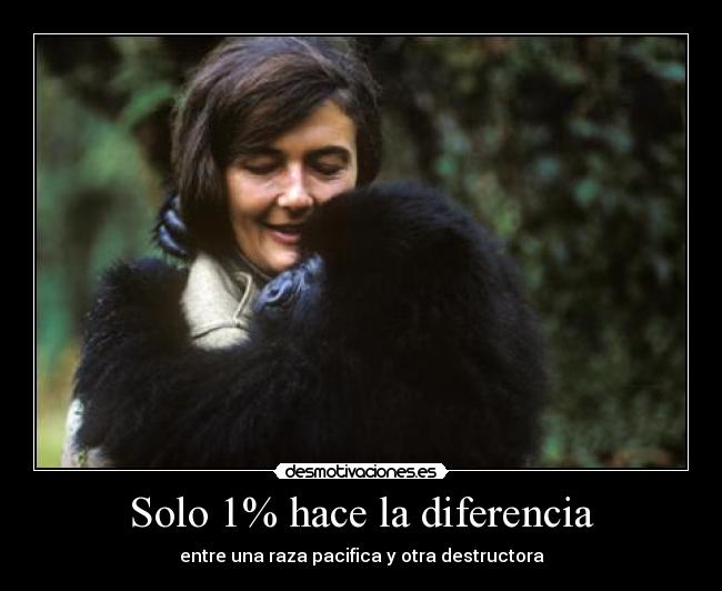 carteles solo por poco desmotivaciones