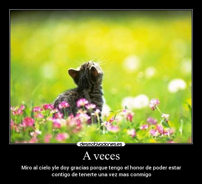 A veces -