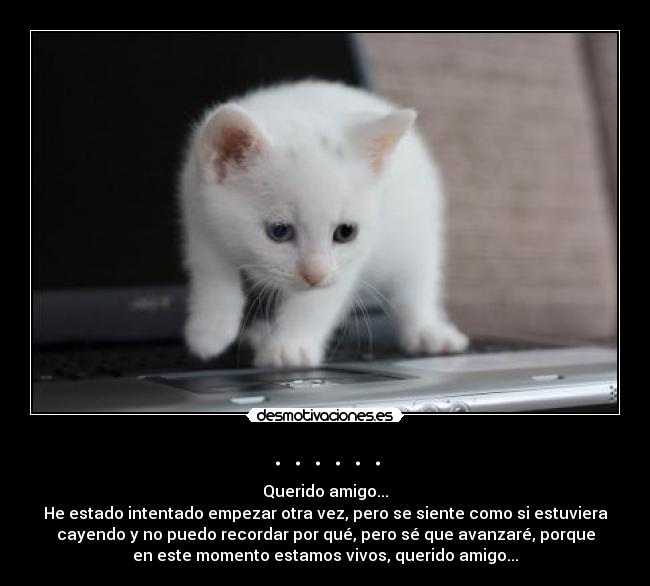 . . . . . . - Querido amigo...
He estado intentado empezar otra vez, pero se siente como si estuviera
cayendo y no puedo recordar por qué, pero sé que avanzaré, porque
en este momento estamos vivos, querido amigo...