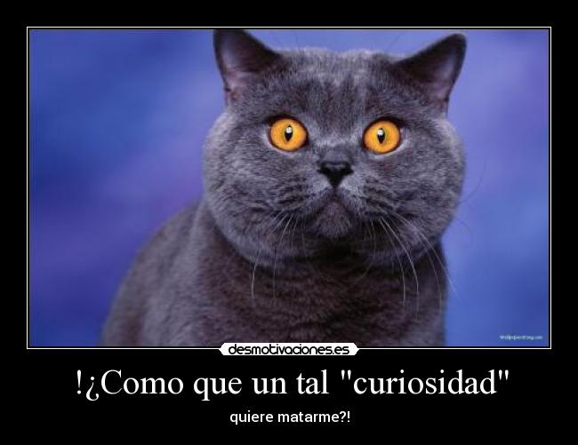 !¿Como que un tal curiosidad - quiere matarme?!
