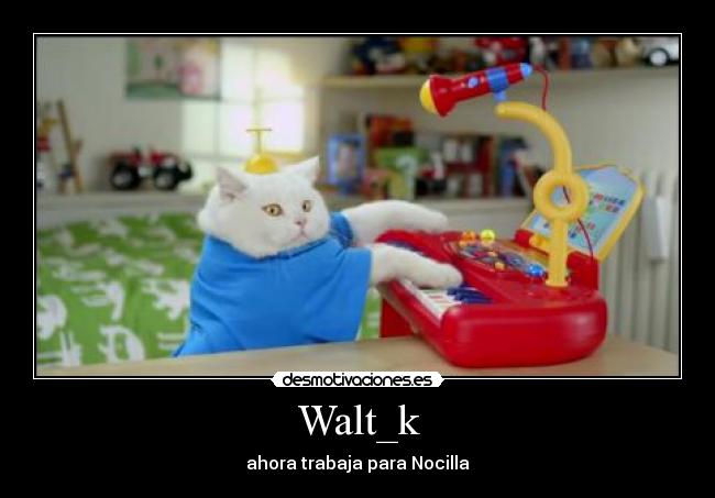 carteles walt nocilla gatospiano mas mono jajaj con gorrocoptero xdd doraemon anime desmotivaciones