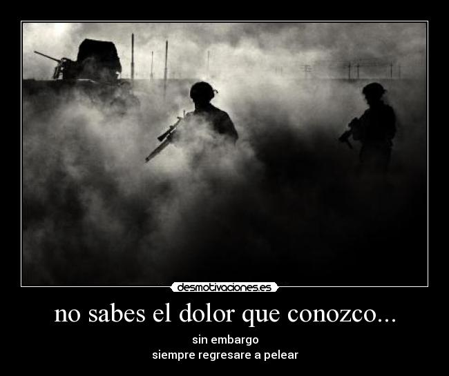 no sabes el dolor que conozco... - sin embargo
siempre regresare a pelear