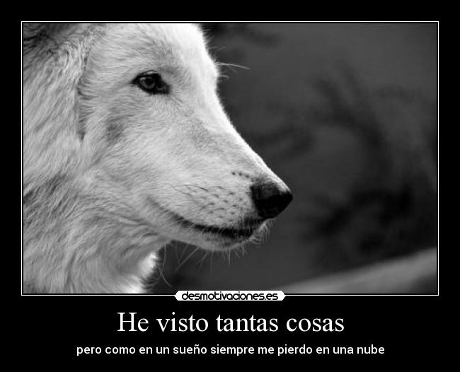 He visto tantas cosas -