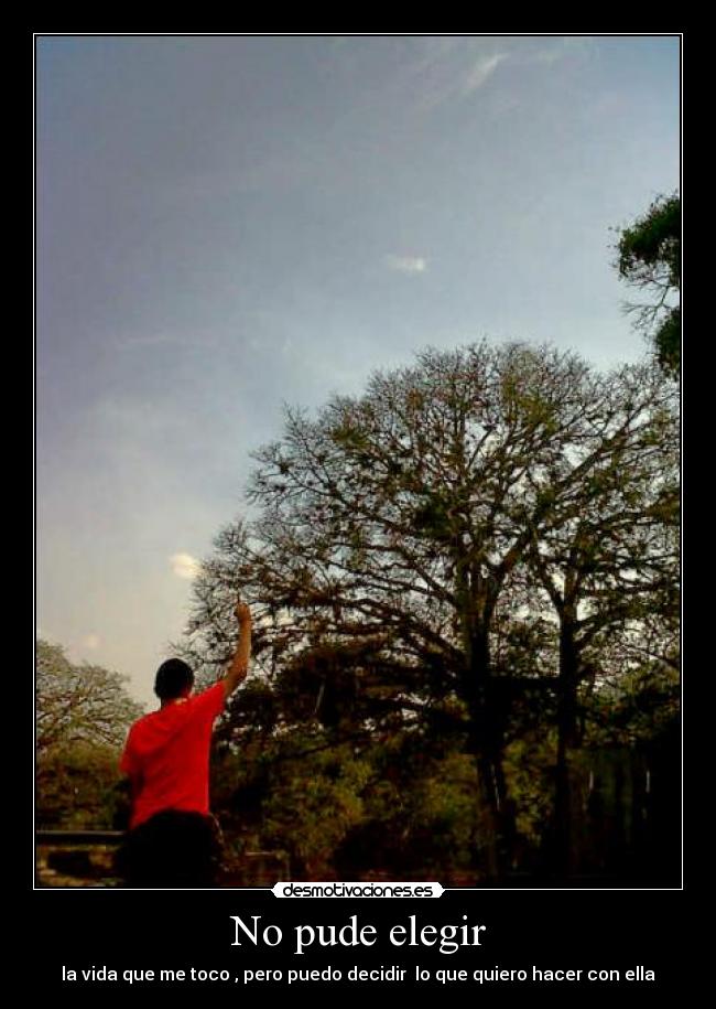 No pude elegir -