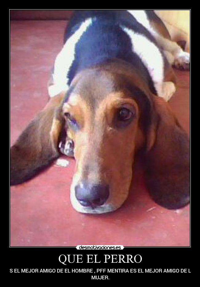 QUE EL PERRO -