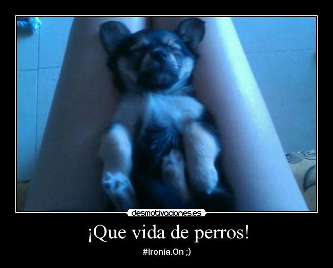 carteles vida cosas vida desmotivaciones