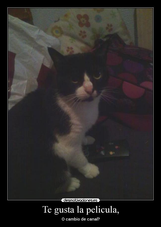 carteles comedia desmotivaciones