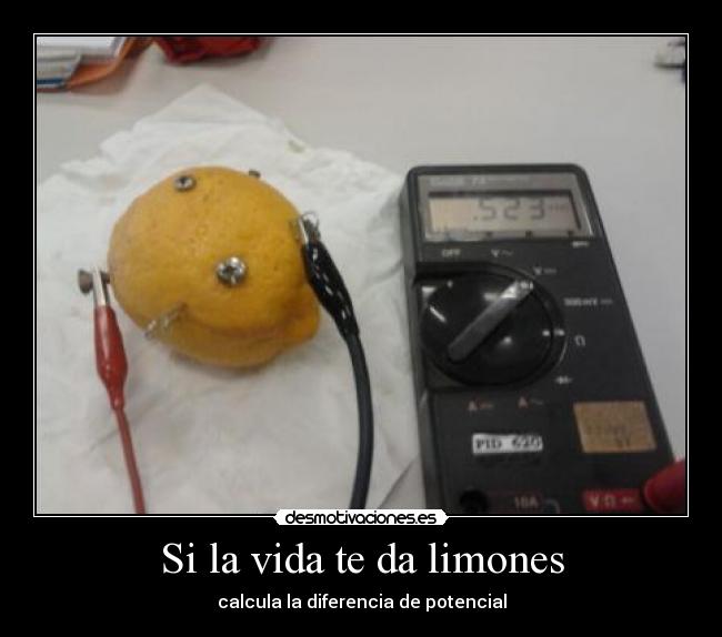 Si la vida te da limones -