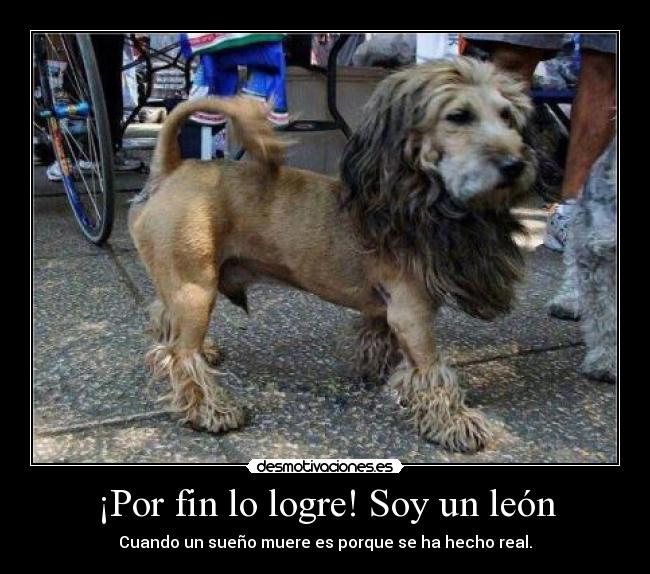 ¡Por fin lo logre! Soy un león - Cuando un sueño muere es porque se ha hecho real.