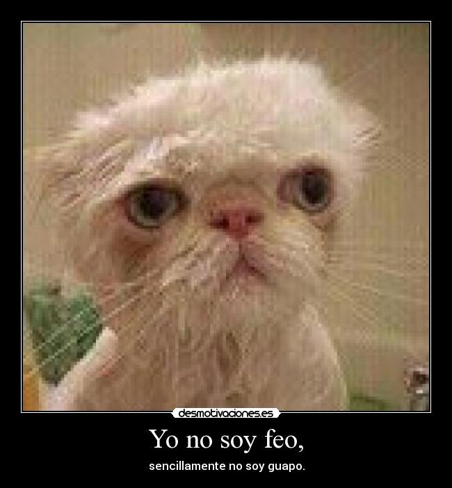 Yo no soy feo, - 