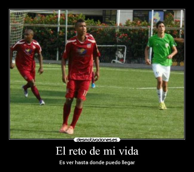 carteles vida esfuezo desmotivaciones