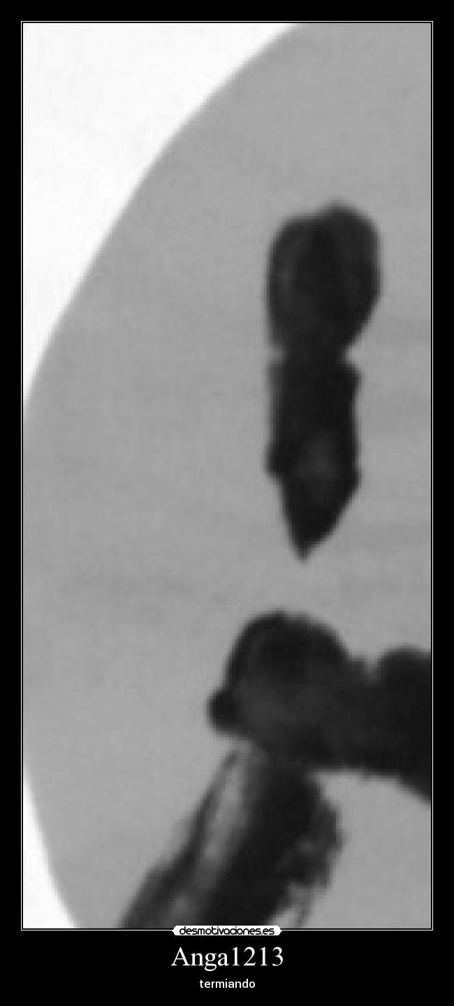 Anga1213 - termiando
