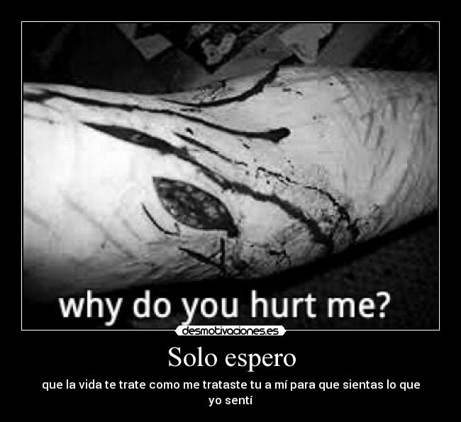 Solo espero - que la vida te trate como me trataste tu a mí para que sientas lo que yo sentí