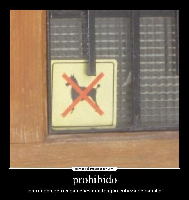 prohibido - entrar con perros caniches que tengan cabeza de caballo