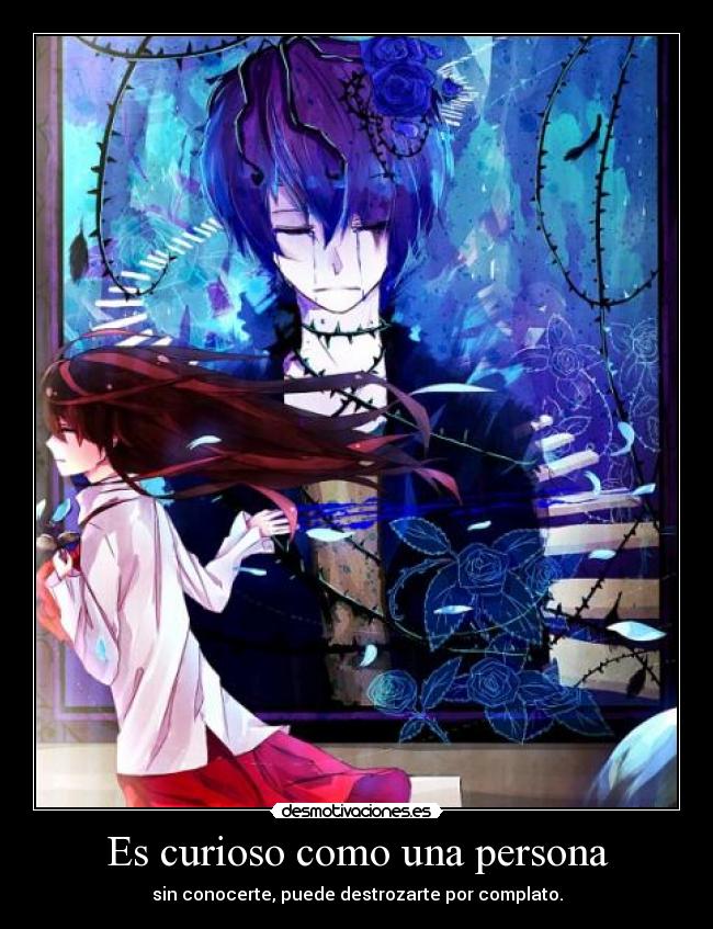 Es curioso como una persona -