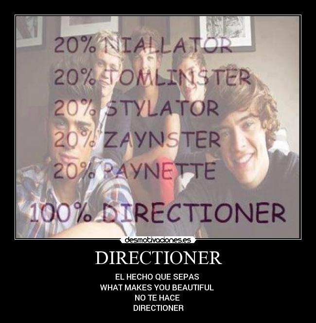 DIRECTIONER - 
