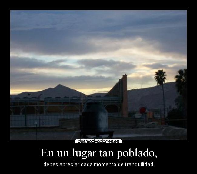 En un lugar tan poblado, - debes apreciar cada momento de tranquilidad.