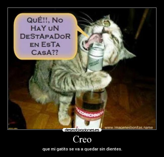 Creo - que mi gatito se va a quedar sin dientes.