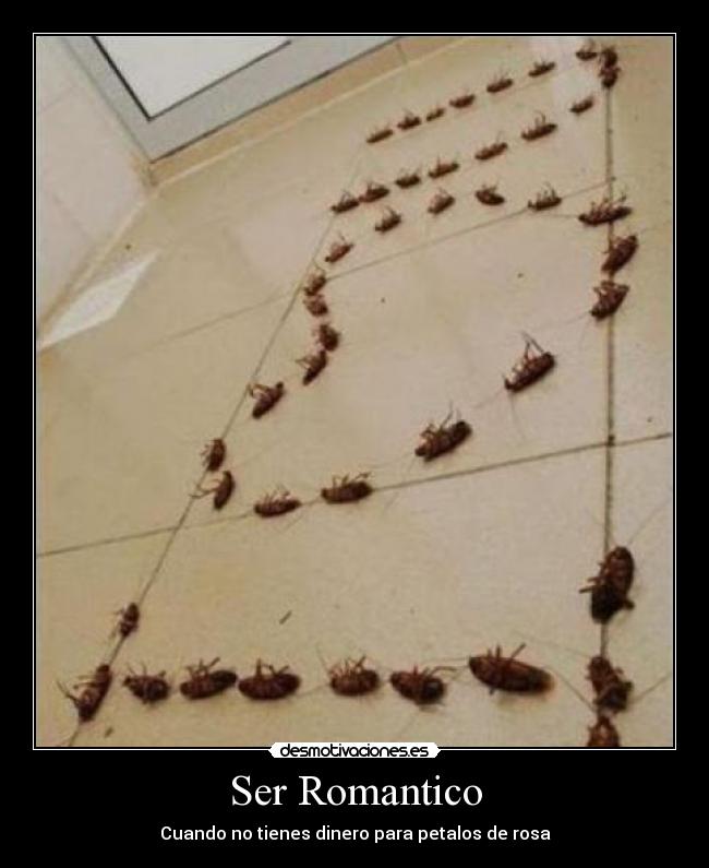 Ser Romantico - Cuando no tienes dinero para petalos de rosa
