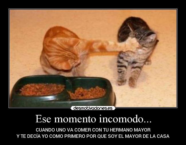 Ese momento incomodo... - CUANDO UNO VA COMER CON TU HERMANO MAYOR
Y TE DECÍA YO COMO PRIMERO POR QUE SOY EL MAYOR DE LA CASA