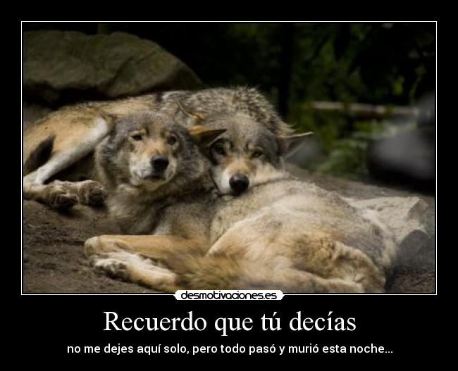 carteles malaquita desmotivaciones