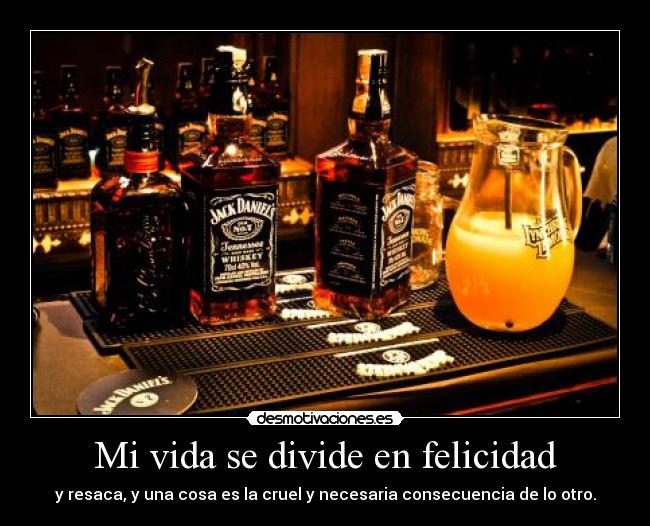 Mi vida se divide en felicidad - y resaca, y una cosa es la cruel y necesaria consecuencia de lo otro.