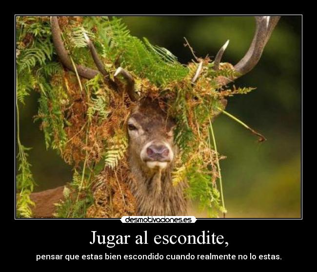 Jugar al escondite, - pensar que estas bien escondido cuando realmente no lo estas.