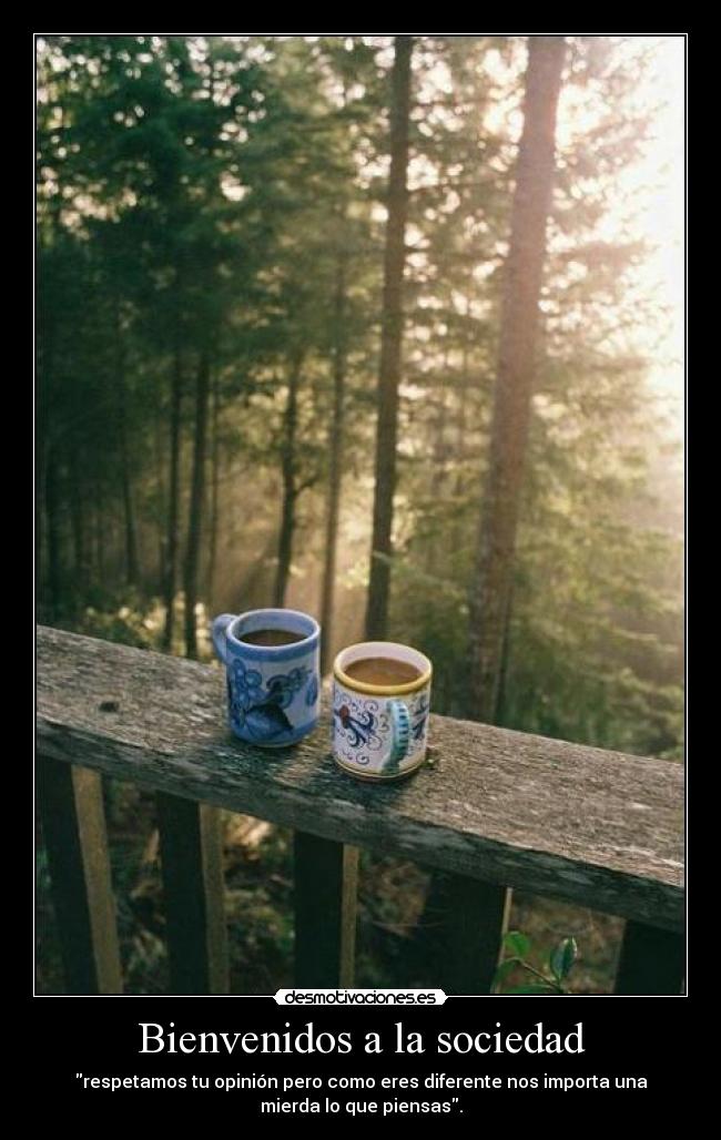 Bienvenidos a la sociedad -