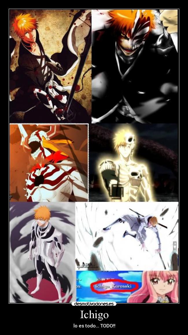 carteles ichigo kurisaki louse zero tsukaima desmotivaciones