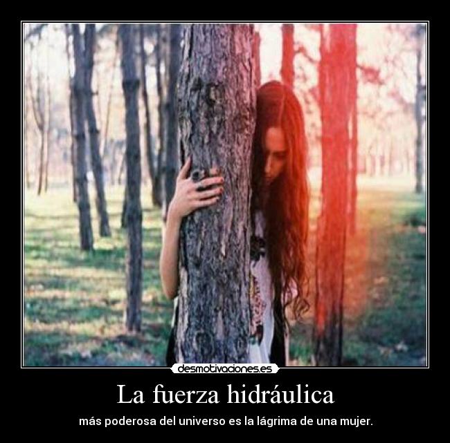 La fuerza hidráulica -