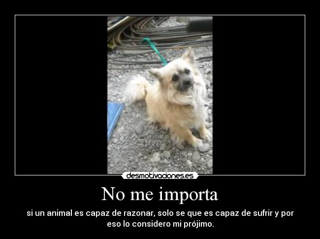 No me importa - si un animal es capaz de razonar, solo se que es capaz de sufrir y por
eso lo considero mi prójimo.