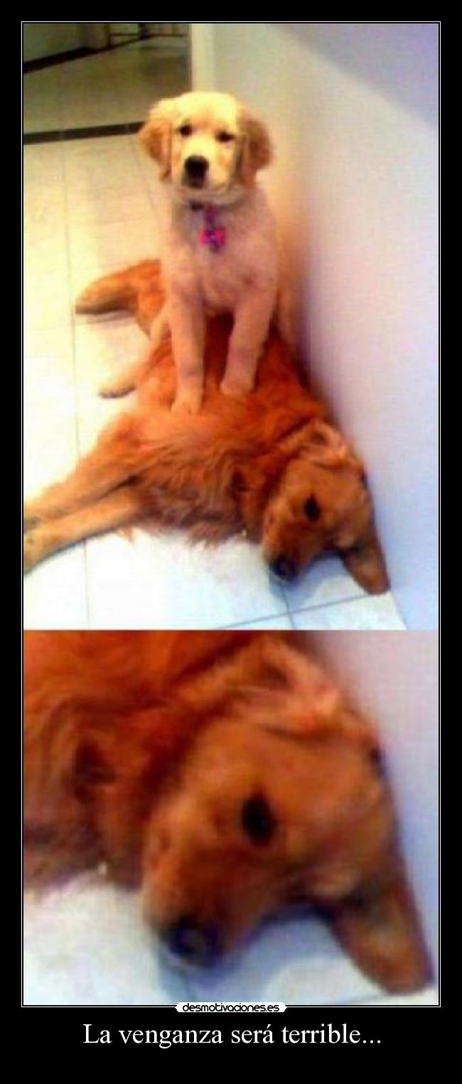 La venganza será terrible... -
