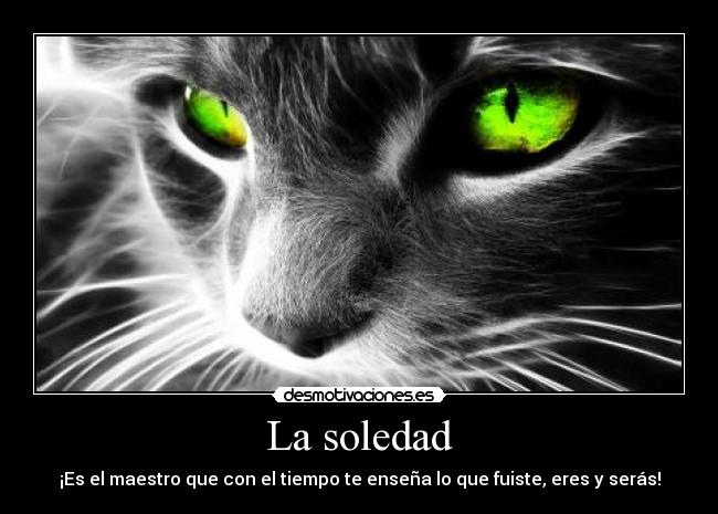 La soledad - ¡Es el maestro que con el tiempo te enseña lo que fuiste, eres y serás!