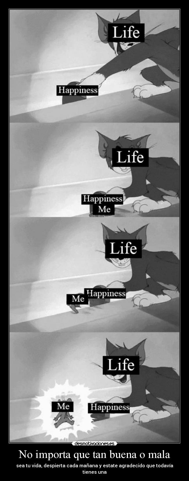No importa que tan buena o mala - sea tu vida, despierta cada mañana y estate agradecido que todavía tienes una