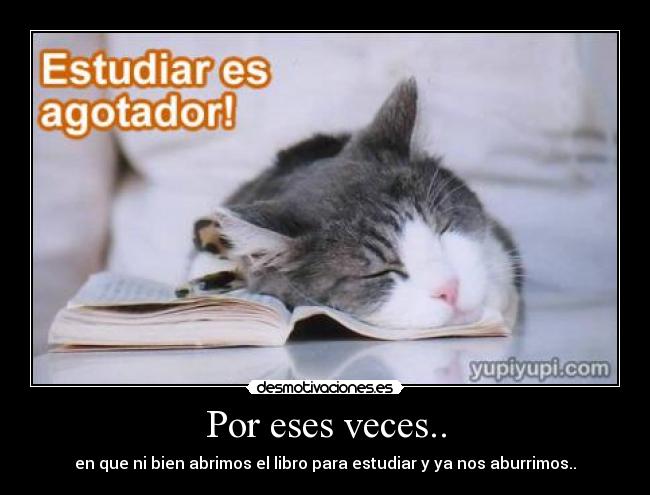 Por eses veces.. - en que ni bien abrimos el libro para estudiar y ya nos aburrimos..