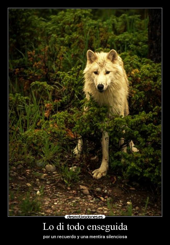 carteles malaquita desmotivaciones