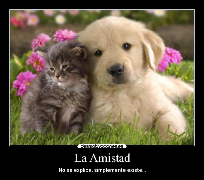 La Amistad - No se explica, simplemente existe...