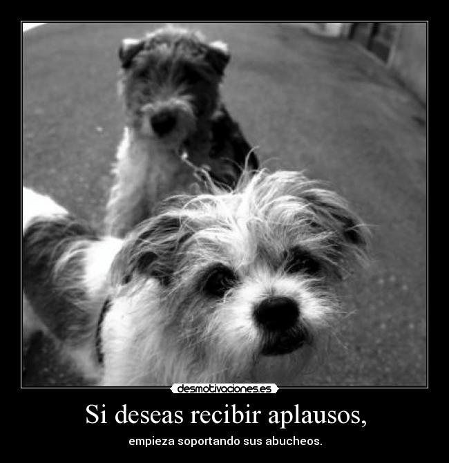 Si deseas recibir aplausos, -