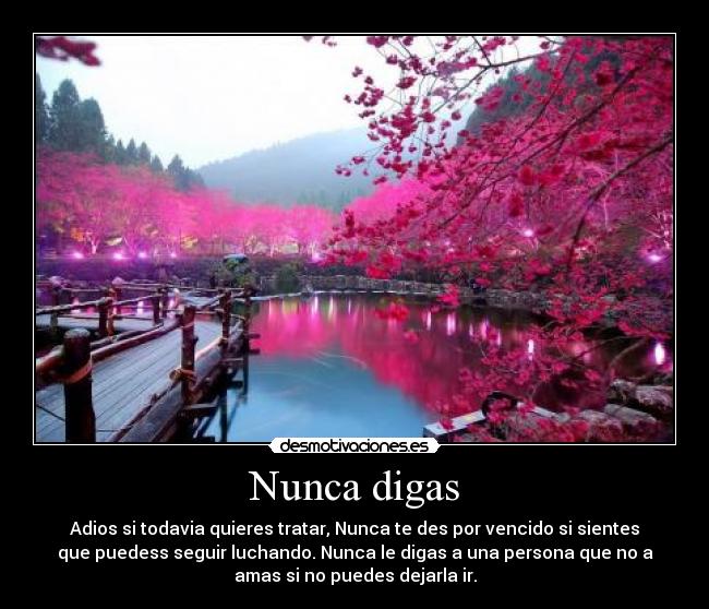 Nunca digas - Adios si todavia quieres tratar, Nunca te des por vencido si sientes
que puedess seguir luchando. Nunca le digas a una persona que no a
amas si no puedes dejarla ir.