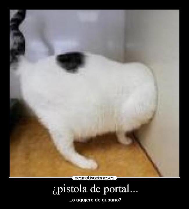 ¿pistola de portal... - ...o agujero de gusano?